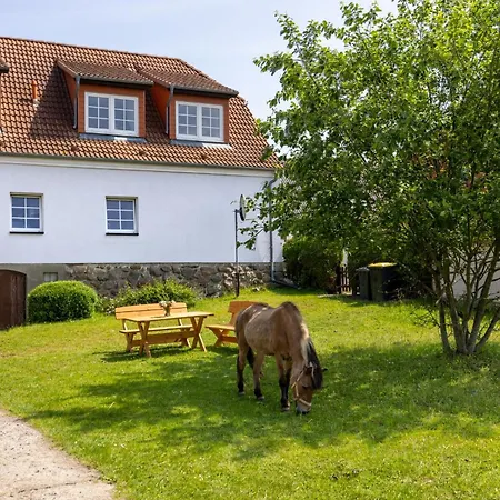 Ferienwohnung 